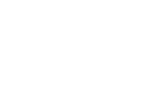 logo light